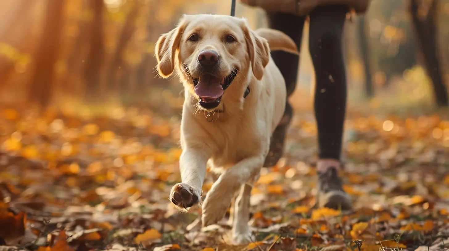 Adopting a Pet for a More Active Lifestyle