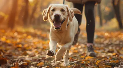 Adopting a Pet for a More Active Lifestyle
