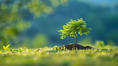 Cultivating Patience Through Mindfulness Practices