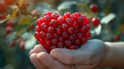 Low Carb Diets and Heart Health: What You Need to Know