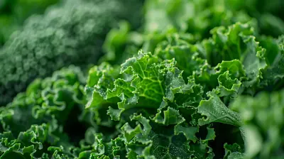 The Power of Green: How Leafy Vegetables Aid Detoxification