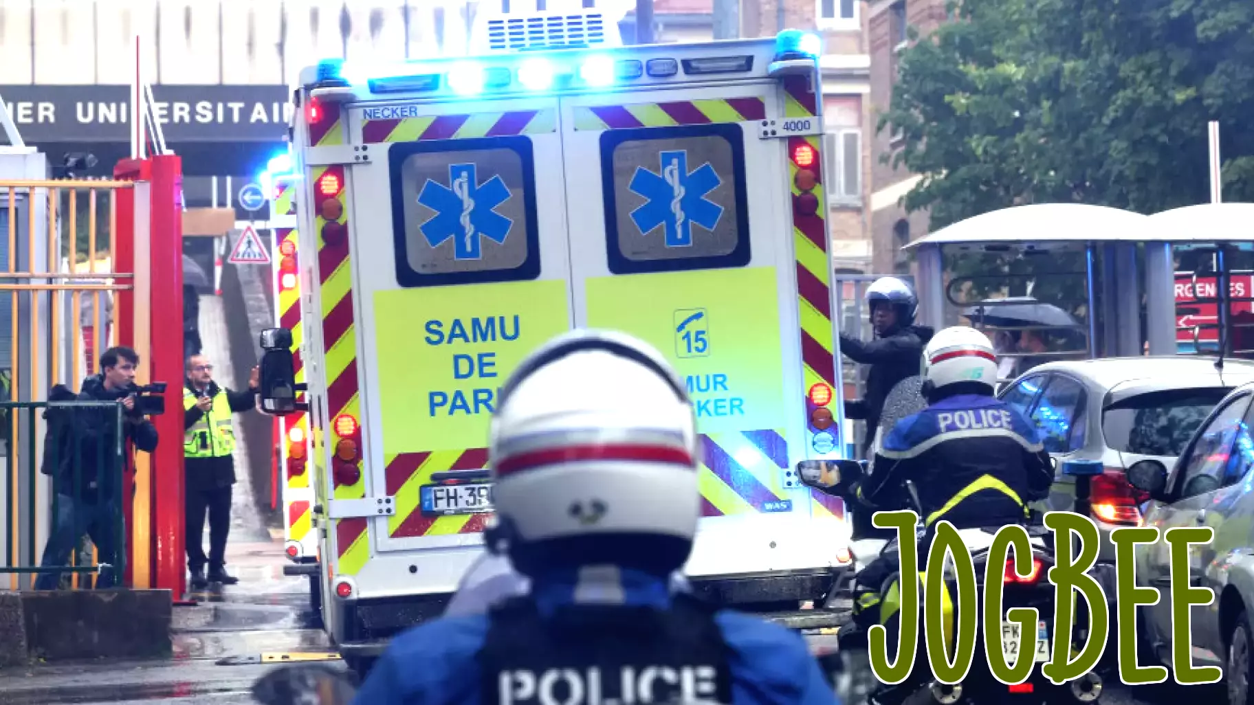 French hantavirus patient is critically ill and on an artificial lung as outbreak grows to 11