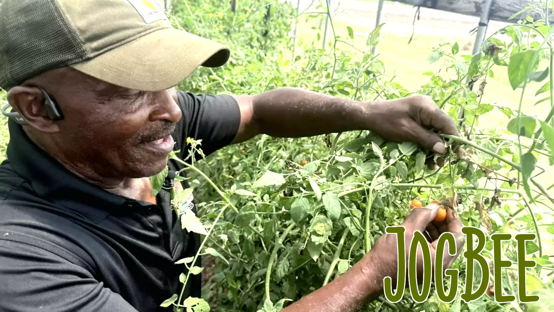 From farm to table: Edgecombe County effort expands access to fresh, healthy food