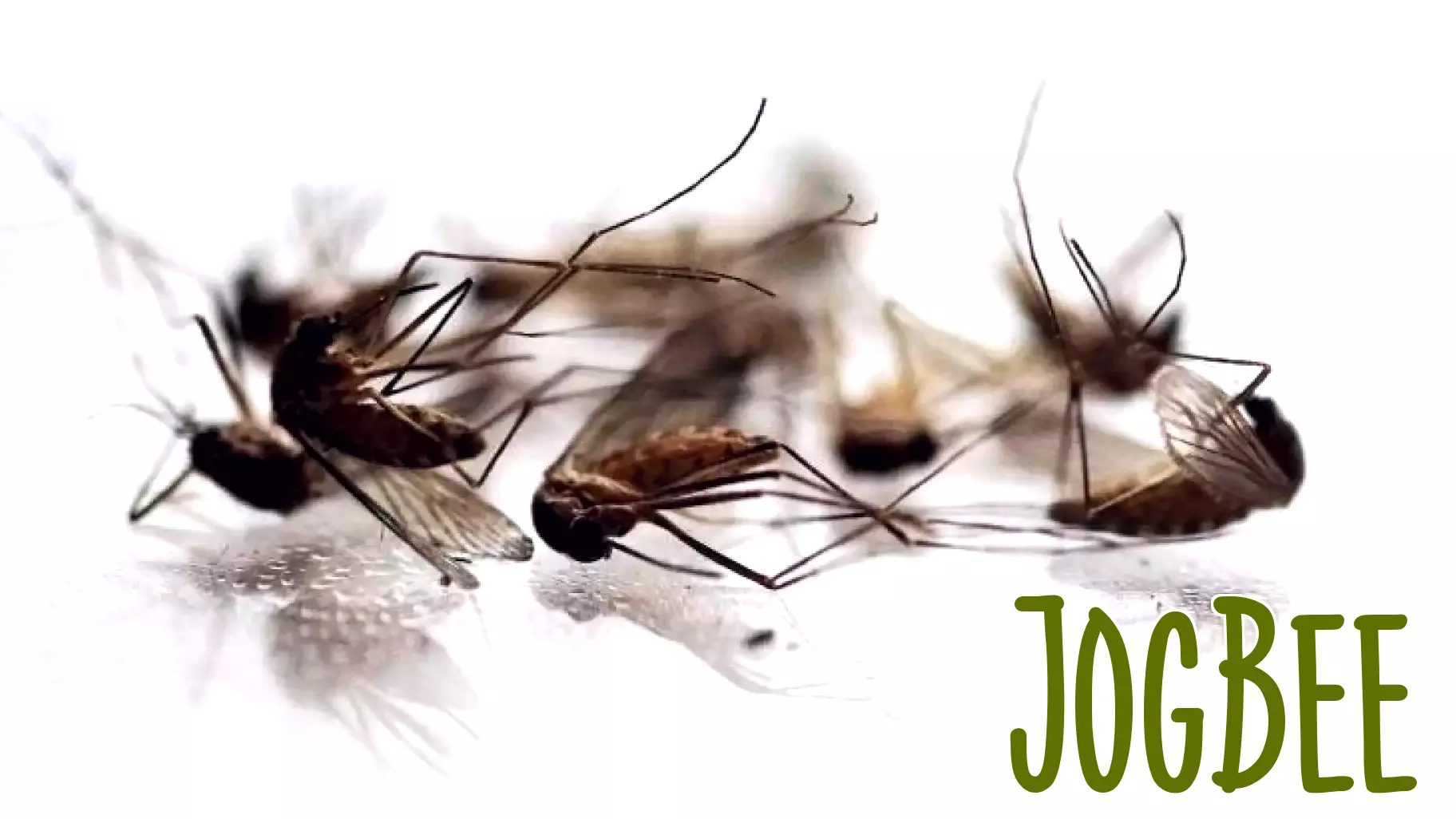 Increased Risk of West Nile Virus in Massachusetts Communities