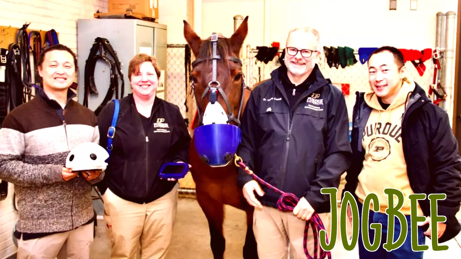 Innovative Partnership Enhances Breathing for Asthmatic Horses