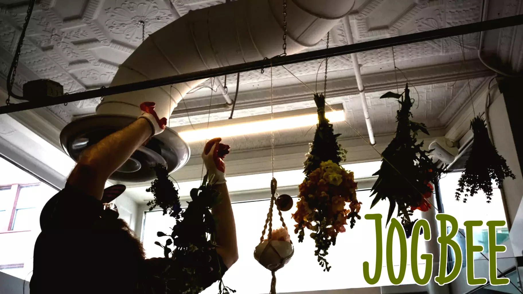 Mainers are turning to plants for health care as conventional treatment is harder to get