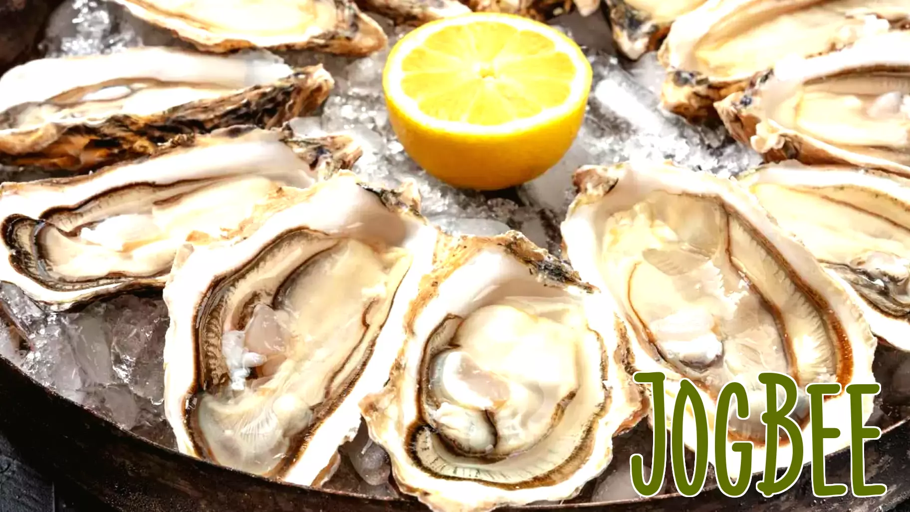 Salmonella Outbreak Linked to Raw Oysters Affects 64 Individuals Nationwide