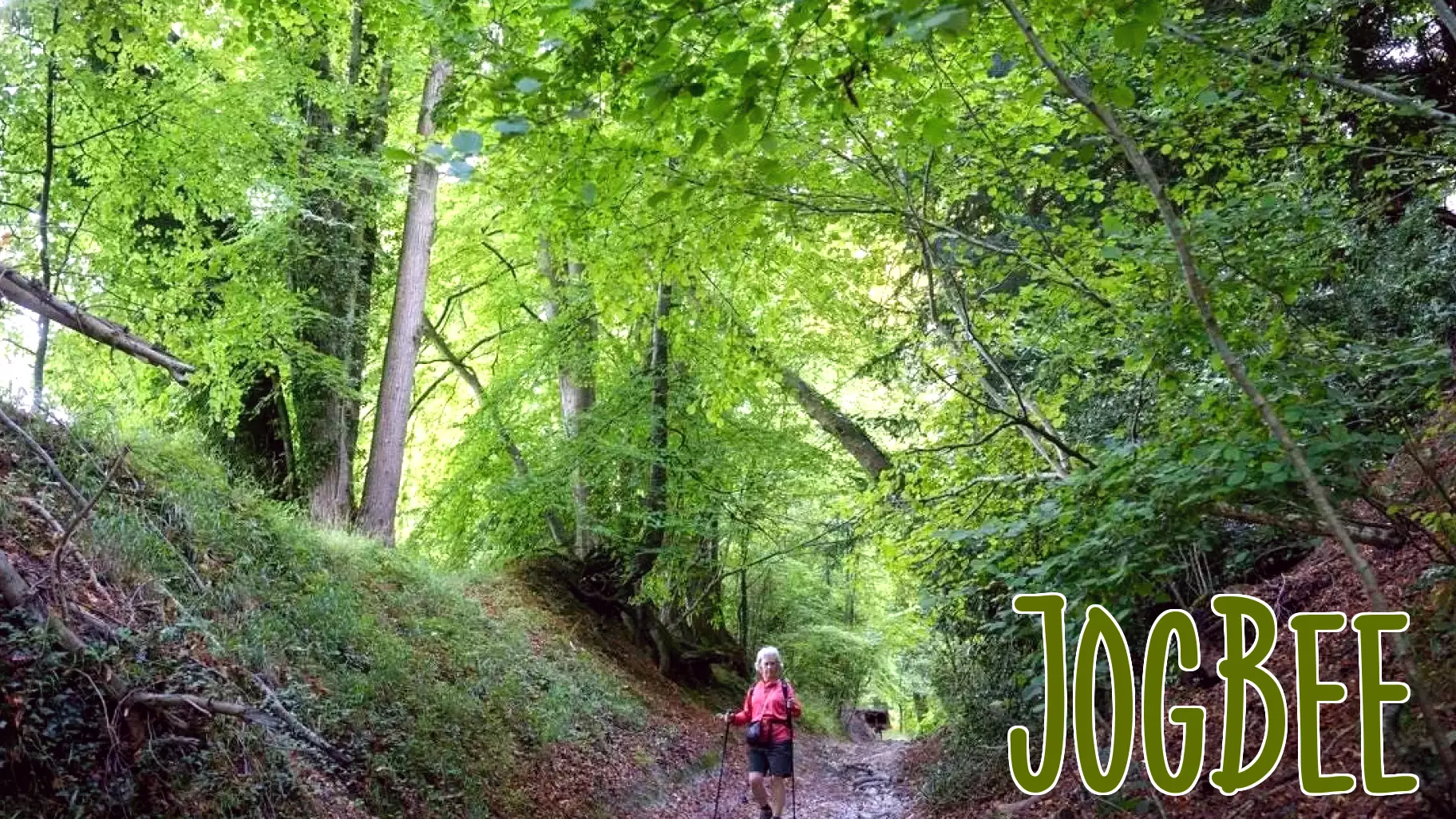The Science Behind Why Going Outside Boosts Your Body and Mind