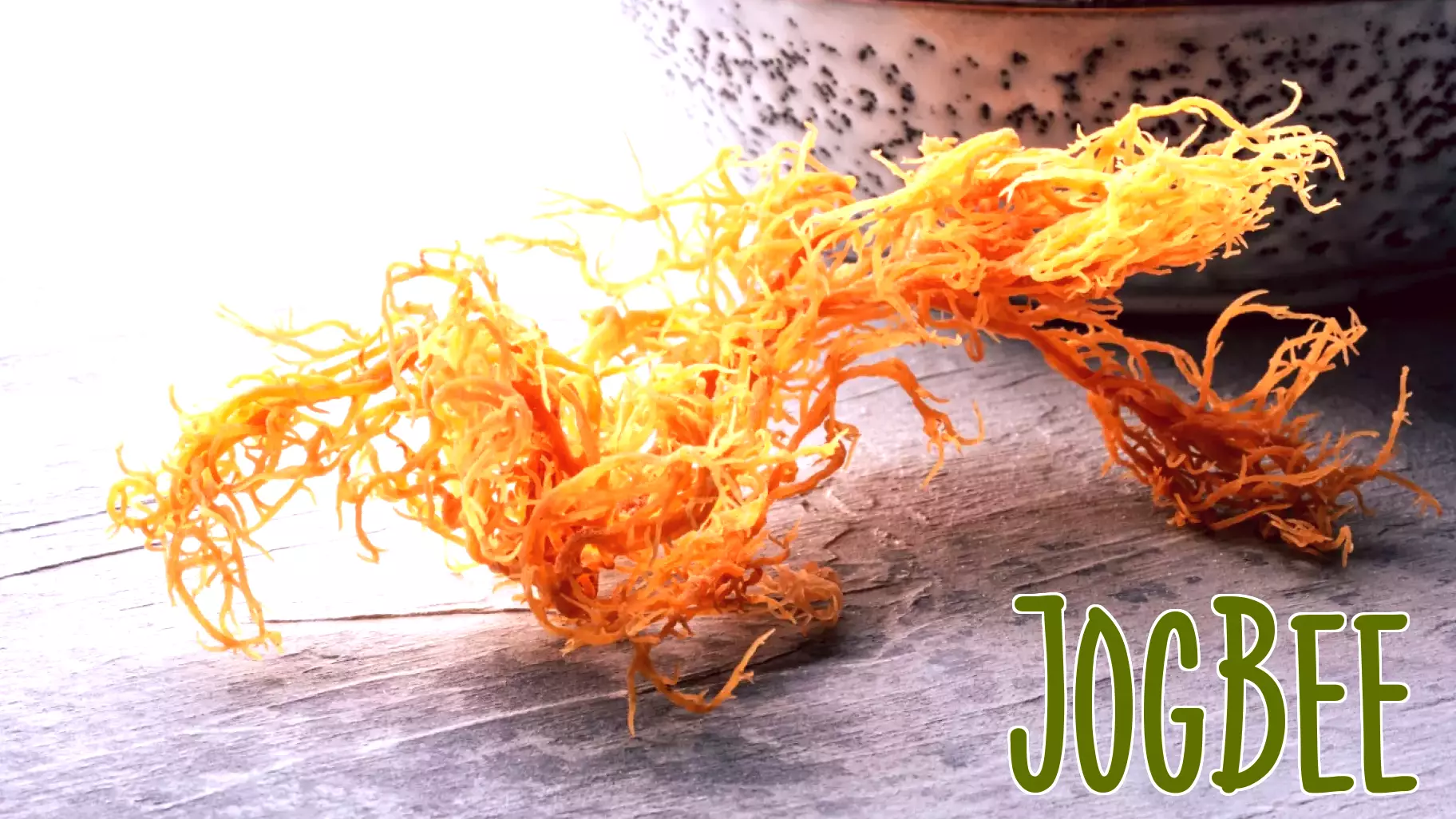 The Sea Moss Craze: Does This Ocean Superfood Live Up to the Hype?