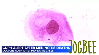 2 deaths, high cases reported in meningitis outbreak, Chicago Department of Public Health warns