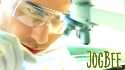 Analysts Adjust Outlook for Phibro Animal Health Amid Positive Developments