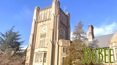 Facing a mental health crisis, an NJ school pulled a beloved novel from English class