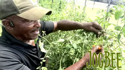 From farm to table: Edgecombe County effort expands access to fresh, healthy food