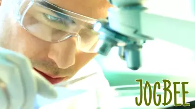 How The Investment Story Is Shifting For Phibro Animal Health (PAHC) After Fresh Analyst Targets