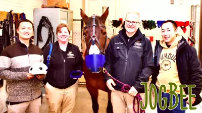 Innovative Partnership Enhances Breathing for Asthmatic Horses