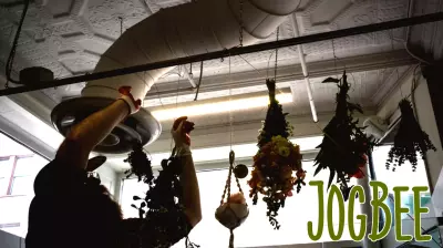 Mainers are turning to plants for health care as conventional treatment is harder to get