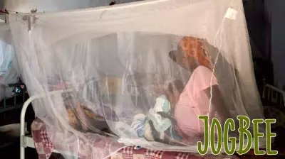 Midwives in Chad Face Uncertain Future Amidst Declining Foreign Aid