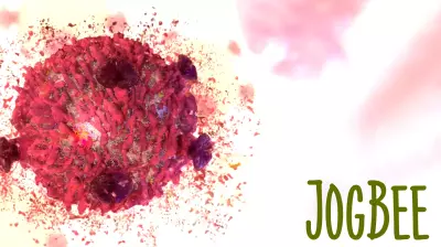 New iron nanomaterial wipes out cancer cells without harming healthy tissue