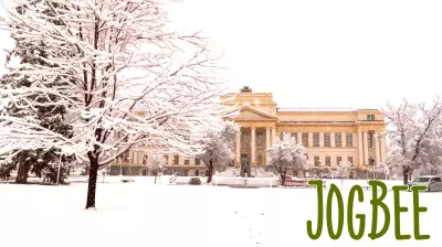 Prioritizing Mental Health This Winter: A Seasonal Guide