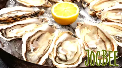Salmonella Outbreak Linked to Raw Oysters Affects 64 Individuals Nationwide