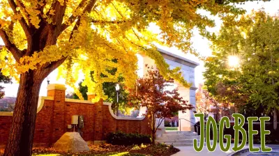 Supporting health and wellbeing this fall