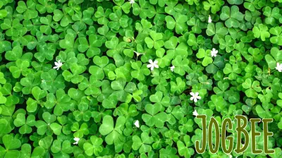 The Health Benefits of Being Surrounded by the Color Green