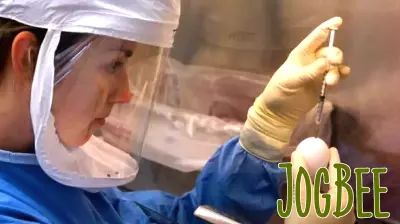 The Impact of Nontraditional Benefits on Retaining Younger Public Health Workers