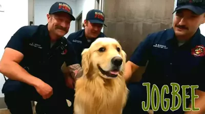 Therapy Dog Joins St. Tammany Fire District to Support Mental Health