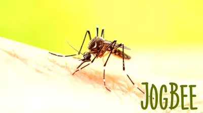 Tulsa Health Department Detects West Nile Virus in Local Mosquitoes